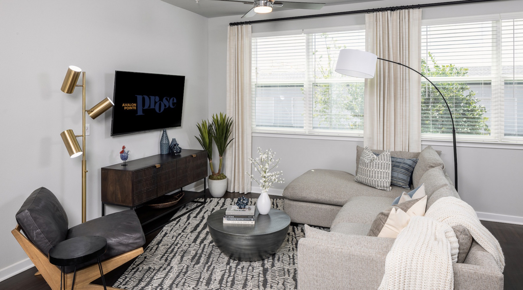 Large well lit living room 